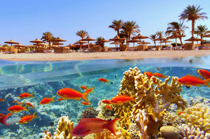 Kempinski Hotel Soma Bay 